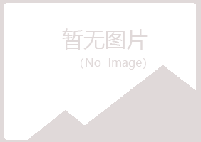 伊春山柏能源有限公司